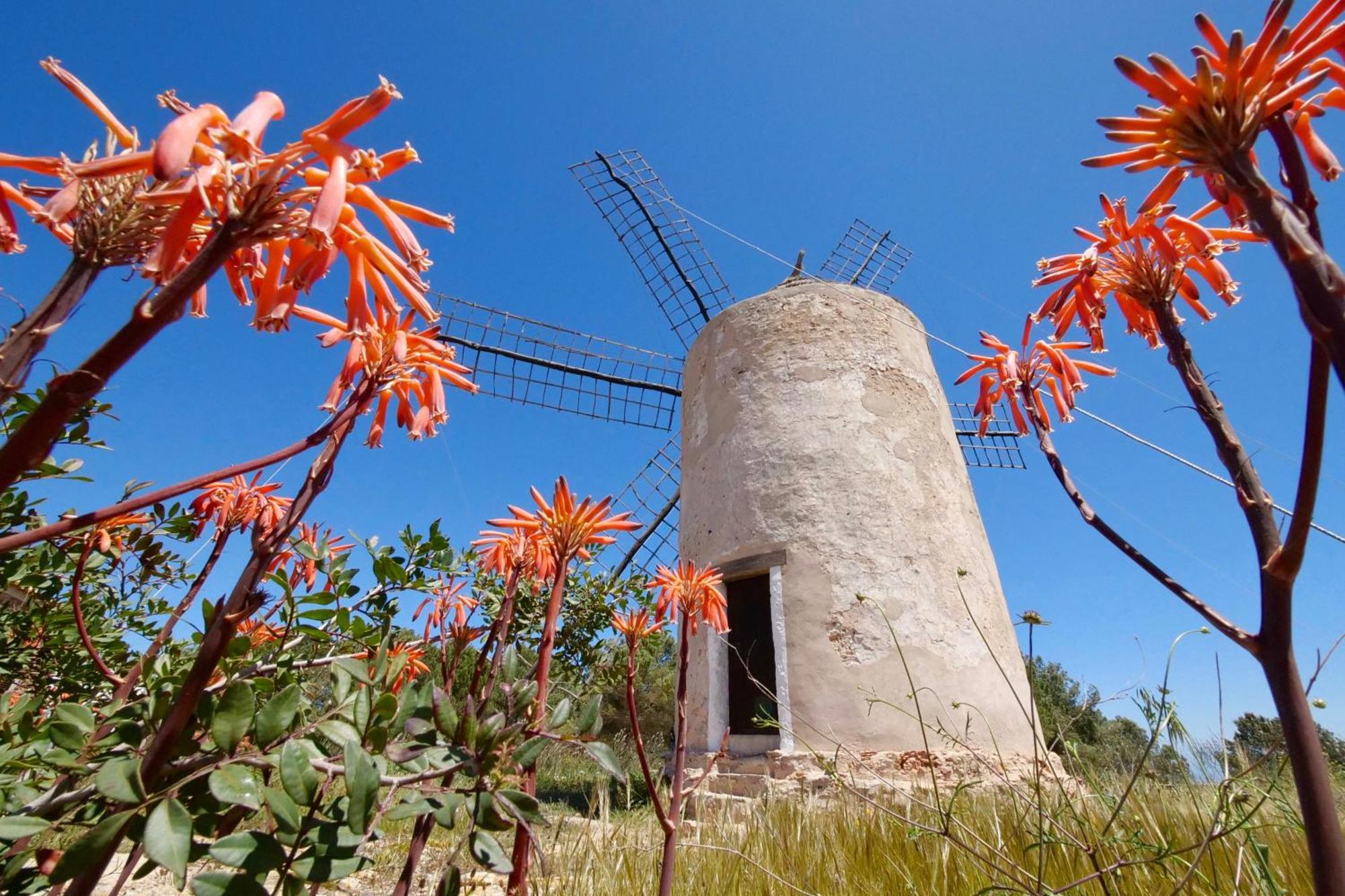 Apartament Voga Mari - Astbury Formentera Platja de Migjorn Zewnętrze zdjęcie