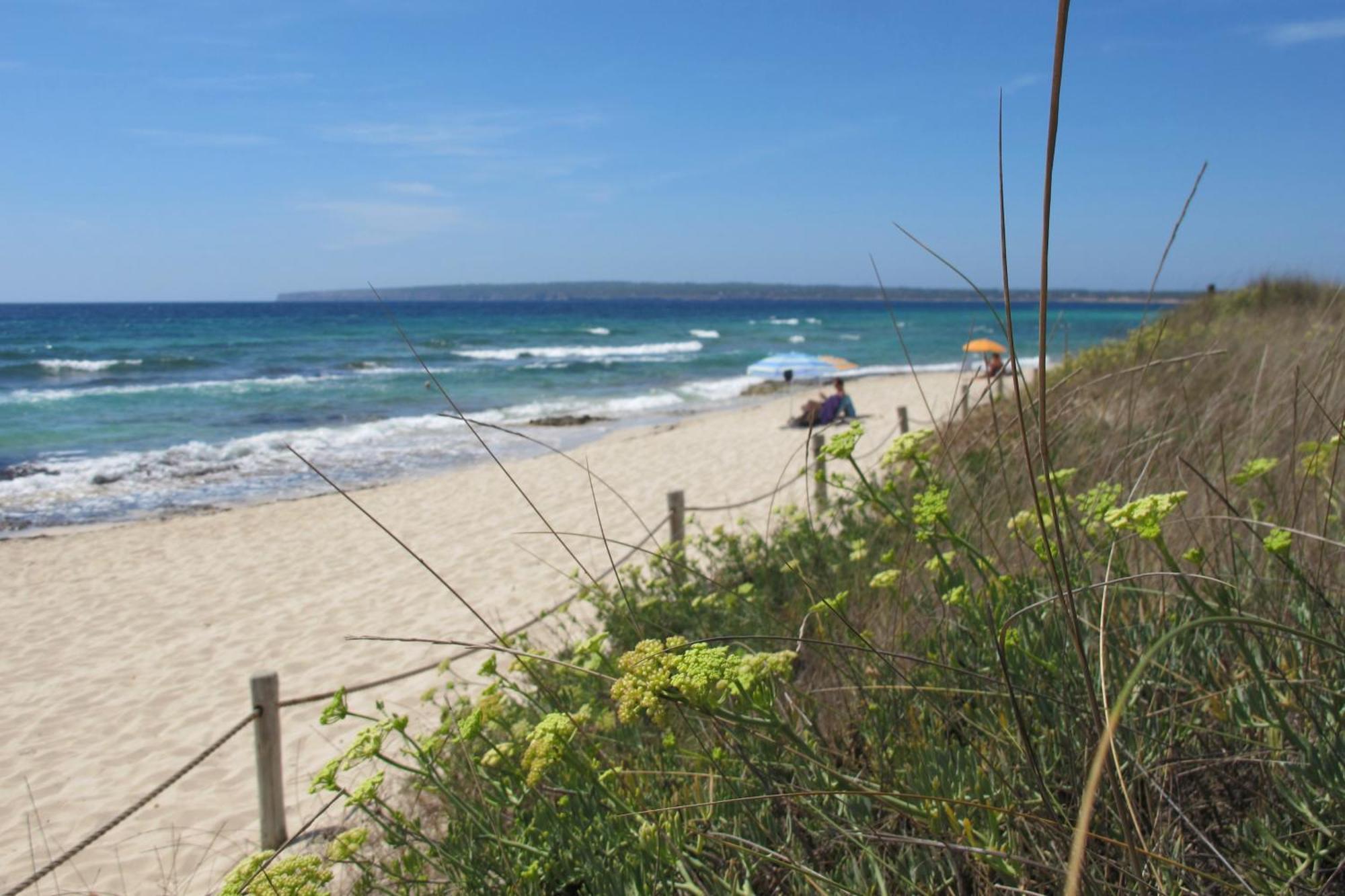 Apartament Voga Mari - Astbury Formentera Platja de Migjorn Zewnętrze zdjęcie